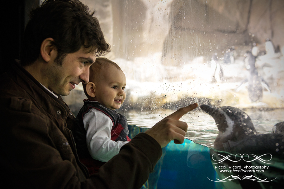 foto bambino acquario genova - fotografo famiglie rozzano