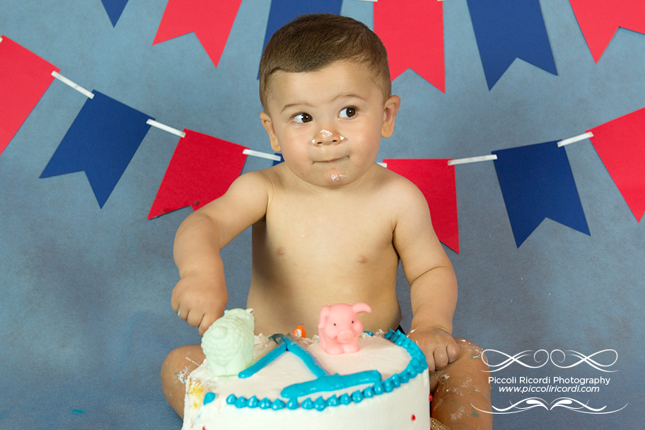 Fotografo Neonato Milano | Cake Smash Monza | Torta Primo Compleanno Bambini
