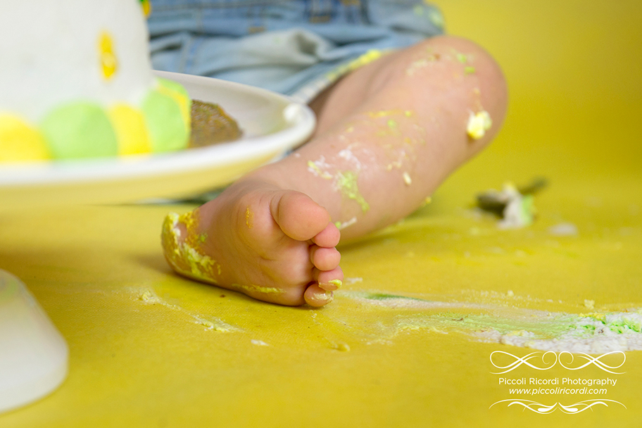 Fotografo neonati Milano - Smash Cake